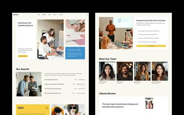 Aptlo - Portfolio & Agency Website Template
