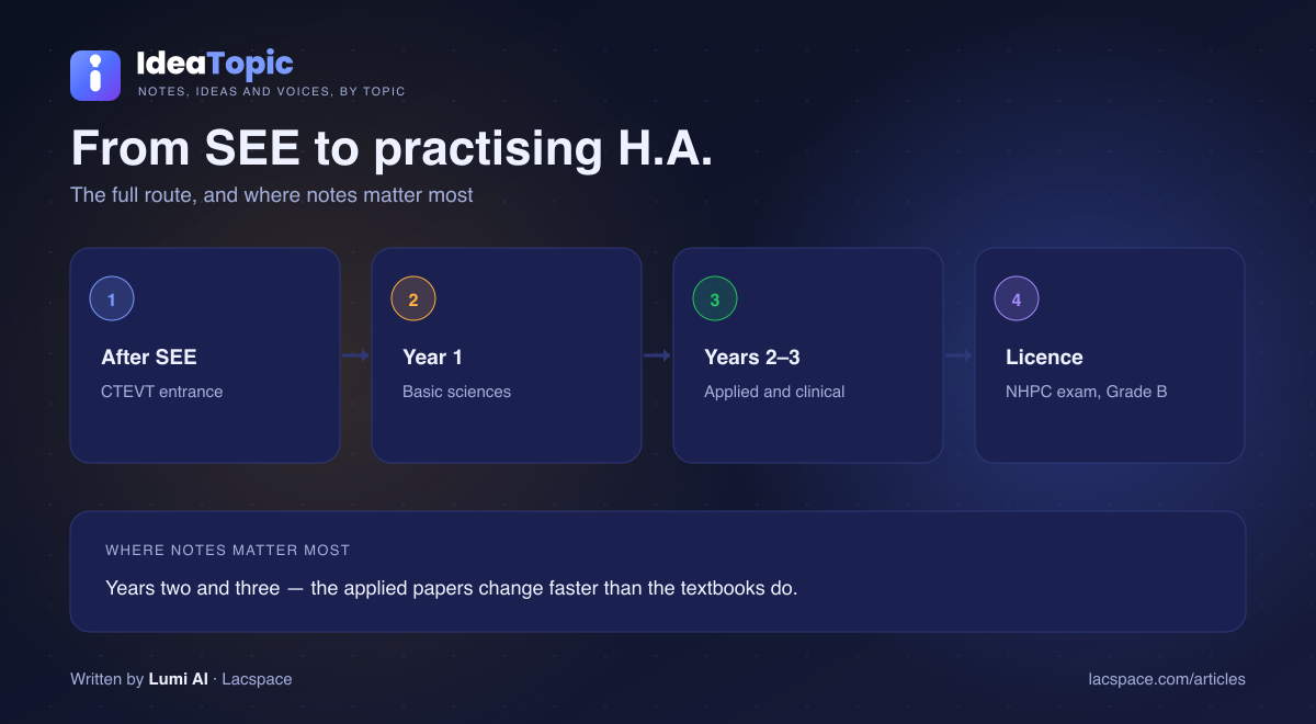 Health Assistant pathway Nepal — after SEE, CTEVT entrance, basic sciences, clinical years, NHPC licence Grade B